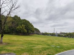 -昆山城市生态森林公园