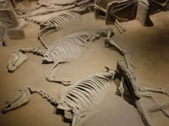 -洛阳周王城天子驾六博物馆