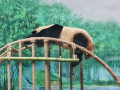 -杭州动物园