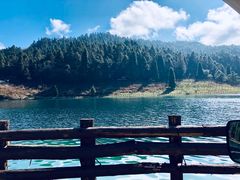 -武陵山森林公园
