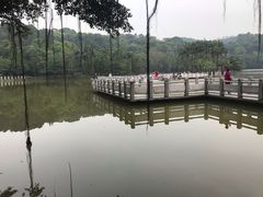 -西樵山风景名胜区-天湖公园