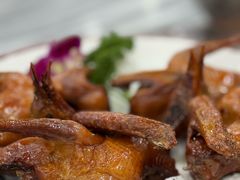 -鸽鸟轩(石岐店)