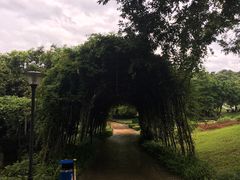 -天河儿童公园