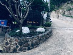 -100蛋泥浆浴