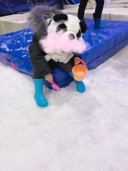 -Mr·Kuma酷么先生雪之乐园