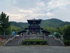 -大唐贡茶院
