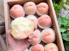 -老袁家蜜桃农场·阳山水蜜桃