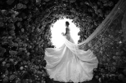 -麦莎MA3A摄影工作室(美兰金邸店)