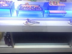 -快乐爱斯米牛排自助(吾悦广场店)