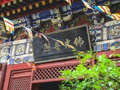 -北京上方山国家森林公园