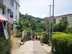 -南丫岛