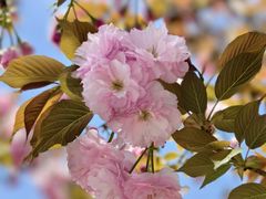 -大木小区斜土路1341弄