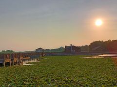 -苏州太湖湖滨国家湿地公园
