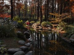 -上海共青森林公园