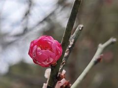 -乌山风景区