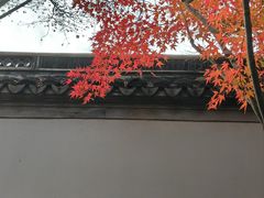 -秋霞圃