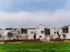 -东梓关景区村庄