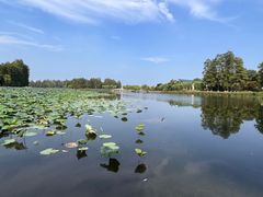 -东湖生态旅游风景区
