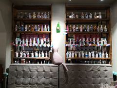 -猫咪博物馆(顶澳仔猫街店)