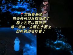 -日照灯塔风景区