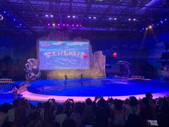 -华夏文旅海洋公园