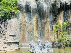 -西双版纳原始森林公园