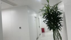-雍禾植发