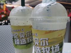 -茉酸奶(春熙路店)