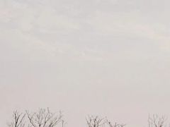 -春花秋色城市公园