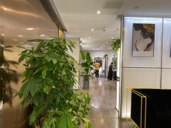 -崇尚GAVIN STYLE臻选