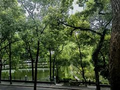 -洪霞餐馆