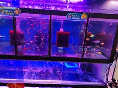 -曲阳花鸟市场(曲阳路店)