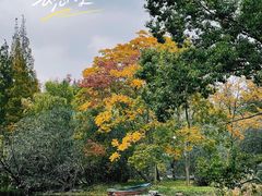 -上海共青森林公园