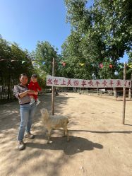 -上美四季动物农场