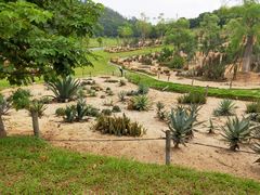 -东莞植物园