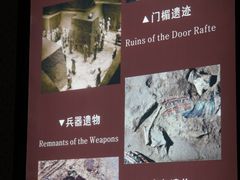 -秦始皇帝陵博物院(兵马俑)