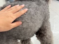 -瑞鹏宠物医院·超声·骨科·奇麟分院(蜀都万达店)