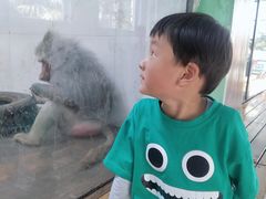 -西安秦岭野生动物园