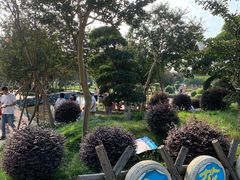 -武汉紫薇都市田园