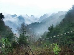 -王顺山国家森林公园
