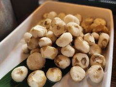 -同仁四季椰子鸡(罗湖国贸店)