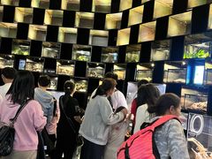 -太平洋海底世界