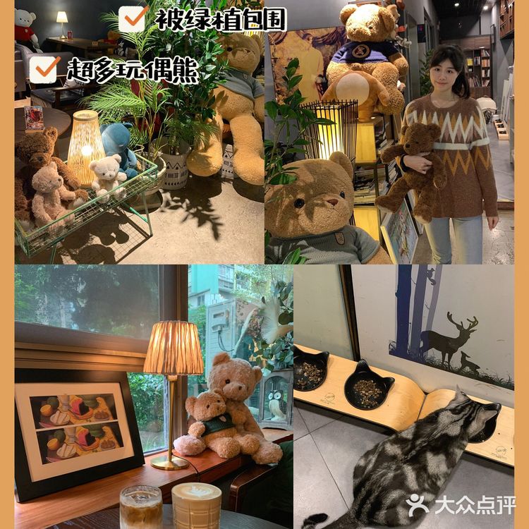 广州被绿植包围的咖啡厅🍃超多猫🐈