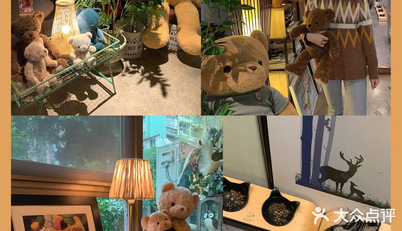 广州被绿植包围的咖啡厅🍃超多猫🐈