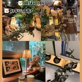 广州被绿植包围的咖啡厅🍃超多猫🐈