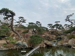 -罗红摄影艺术馆