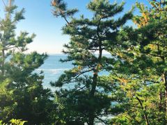 -南紀白浜 浜千鳥の湯 海舟