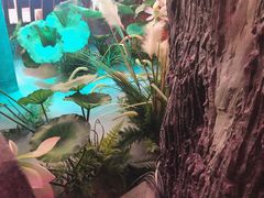 -韵秋荷(宝山龙湖天街店)