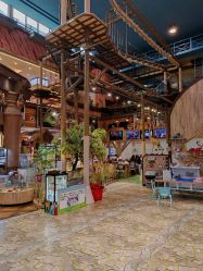 -卡通尼·Safari非洲探索乐园·生日会(金桥国际商业广场店)