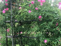 -宜兴龙背山森林公园